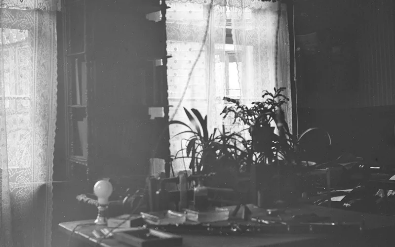 Schreibtisch mit Pflanzen vor einem hellen Fenster